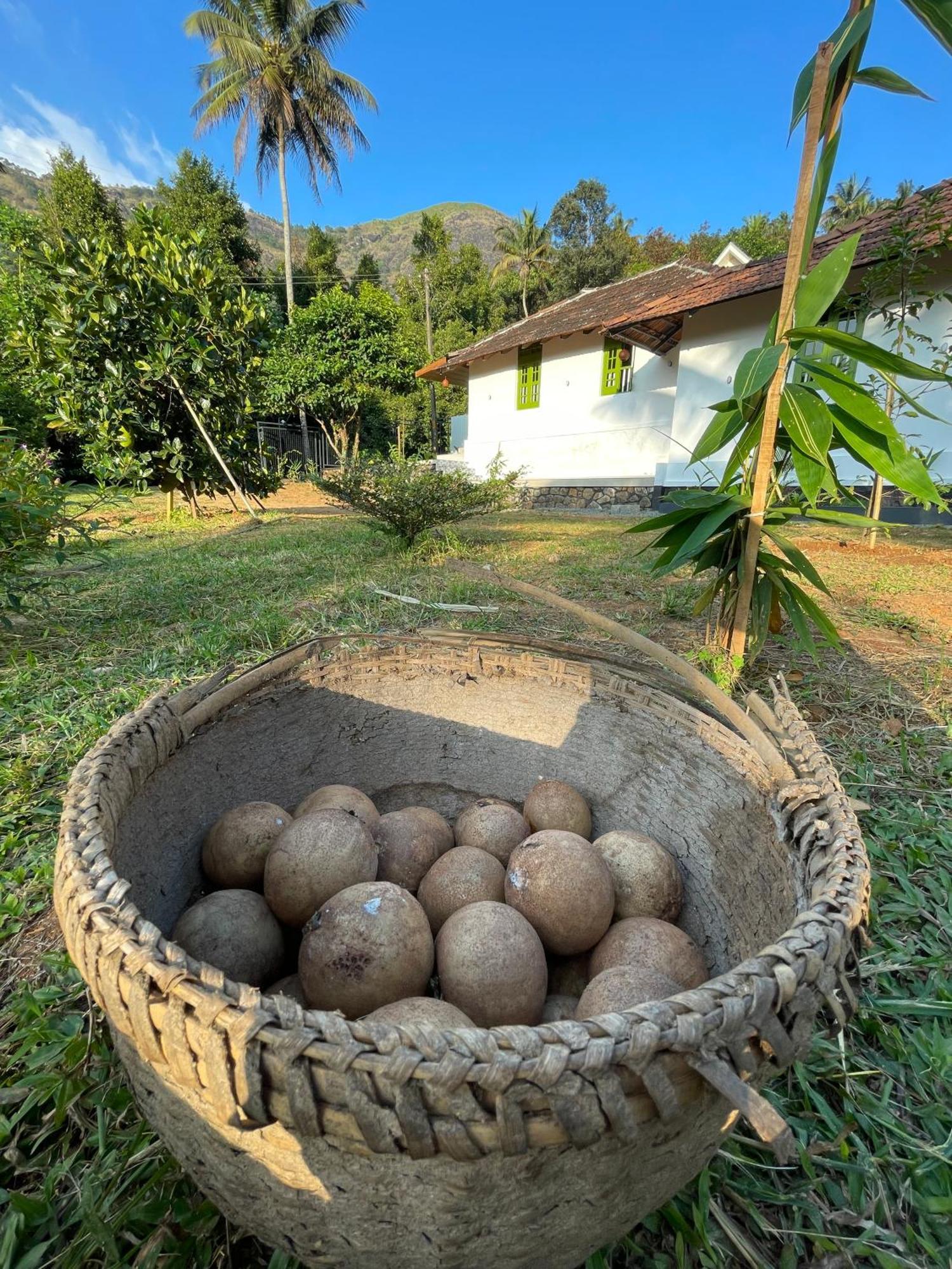 Calm Shack - 2 Bedroom-Boutique Farm Stay Munnar Dış mekan fotoğraf