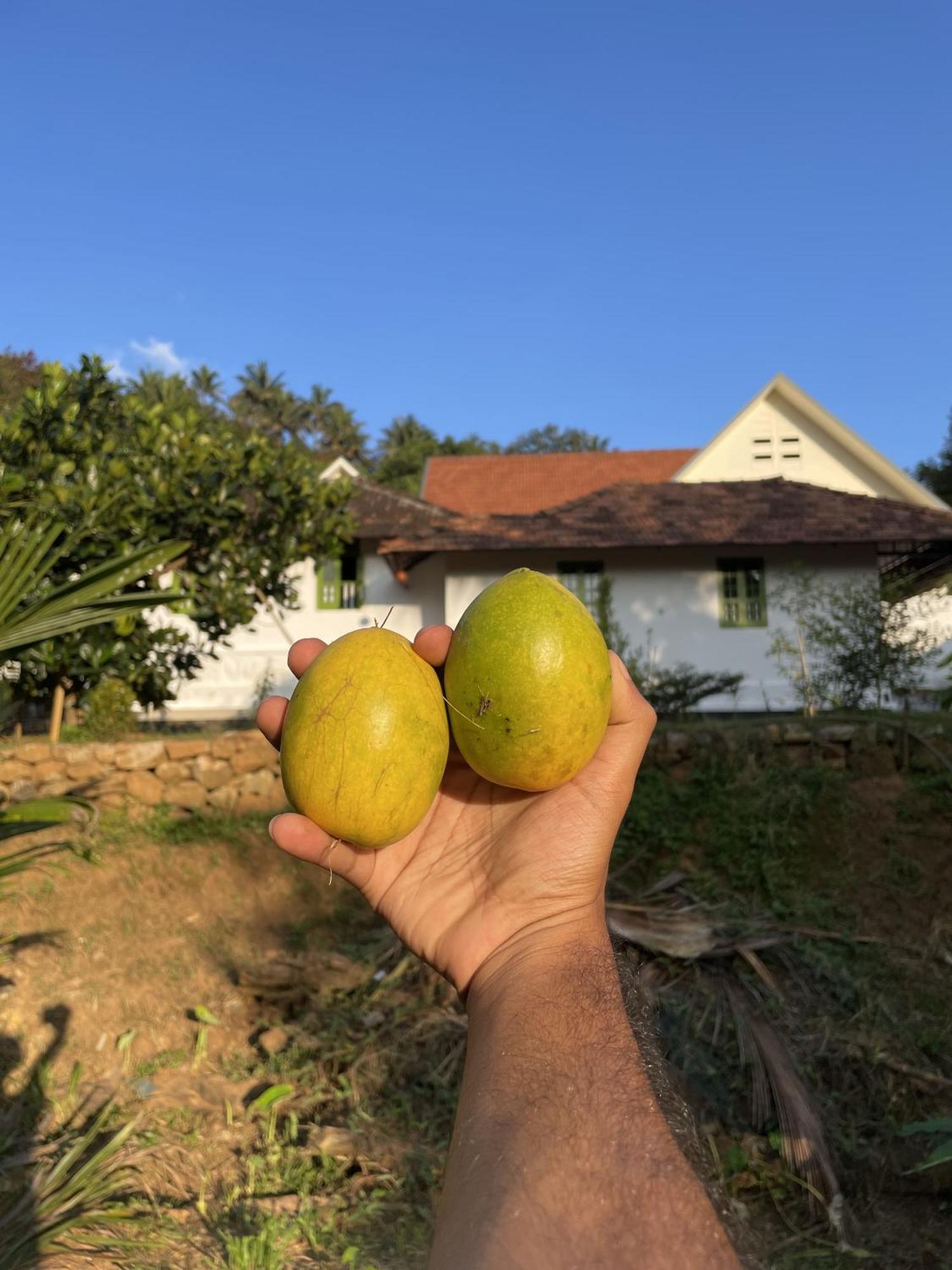 Calm Shack - 2 Bedroom-Boutique Farm Stay Munnar Dış mekan fotoğraf