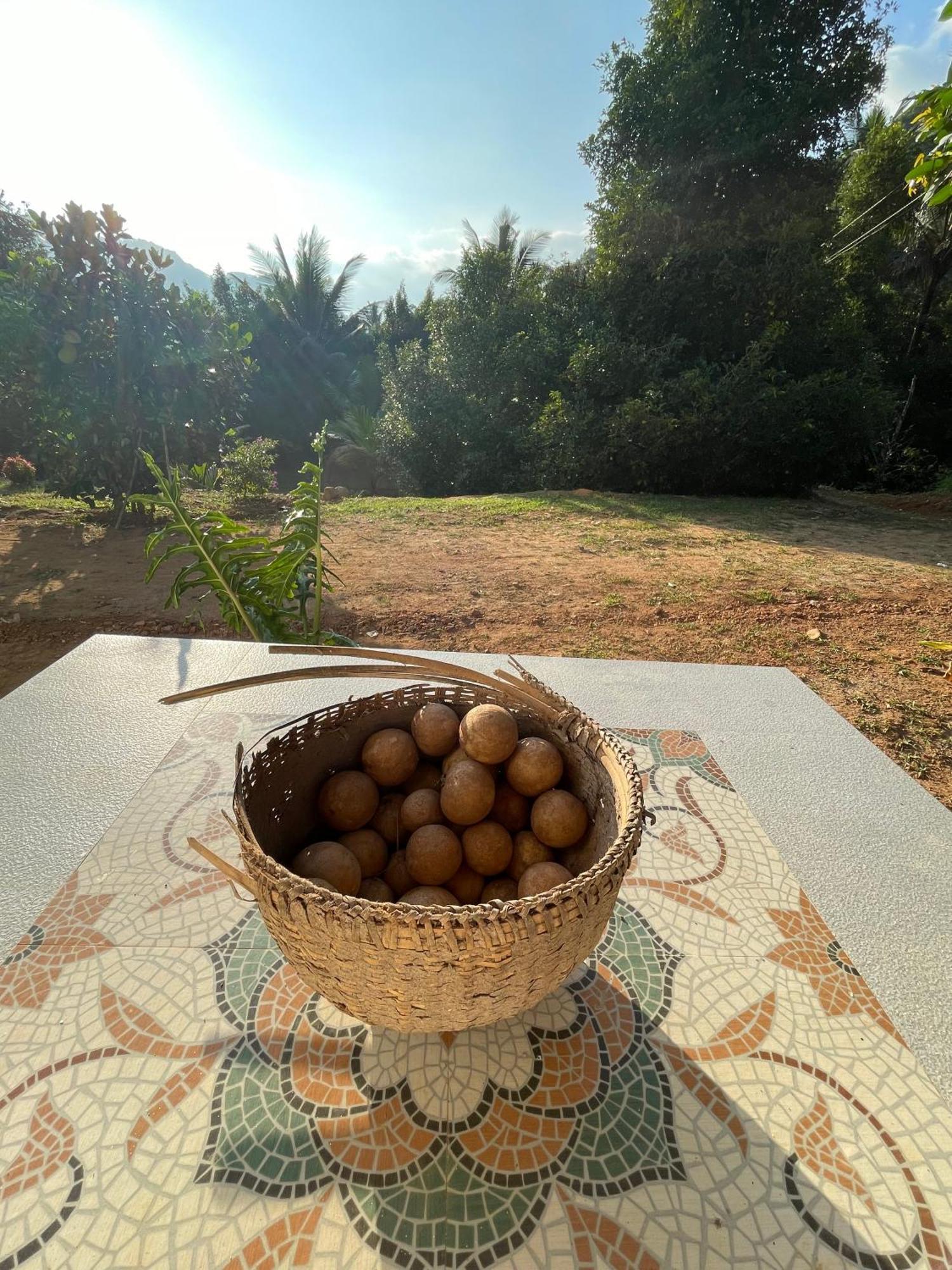Calm Shack - 2 Bedroom-Boutique Farm Stay Munnar Dış mekan fotoğraf