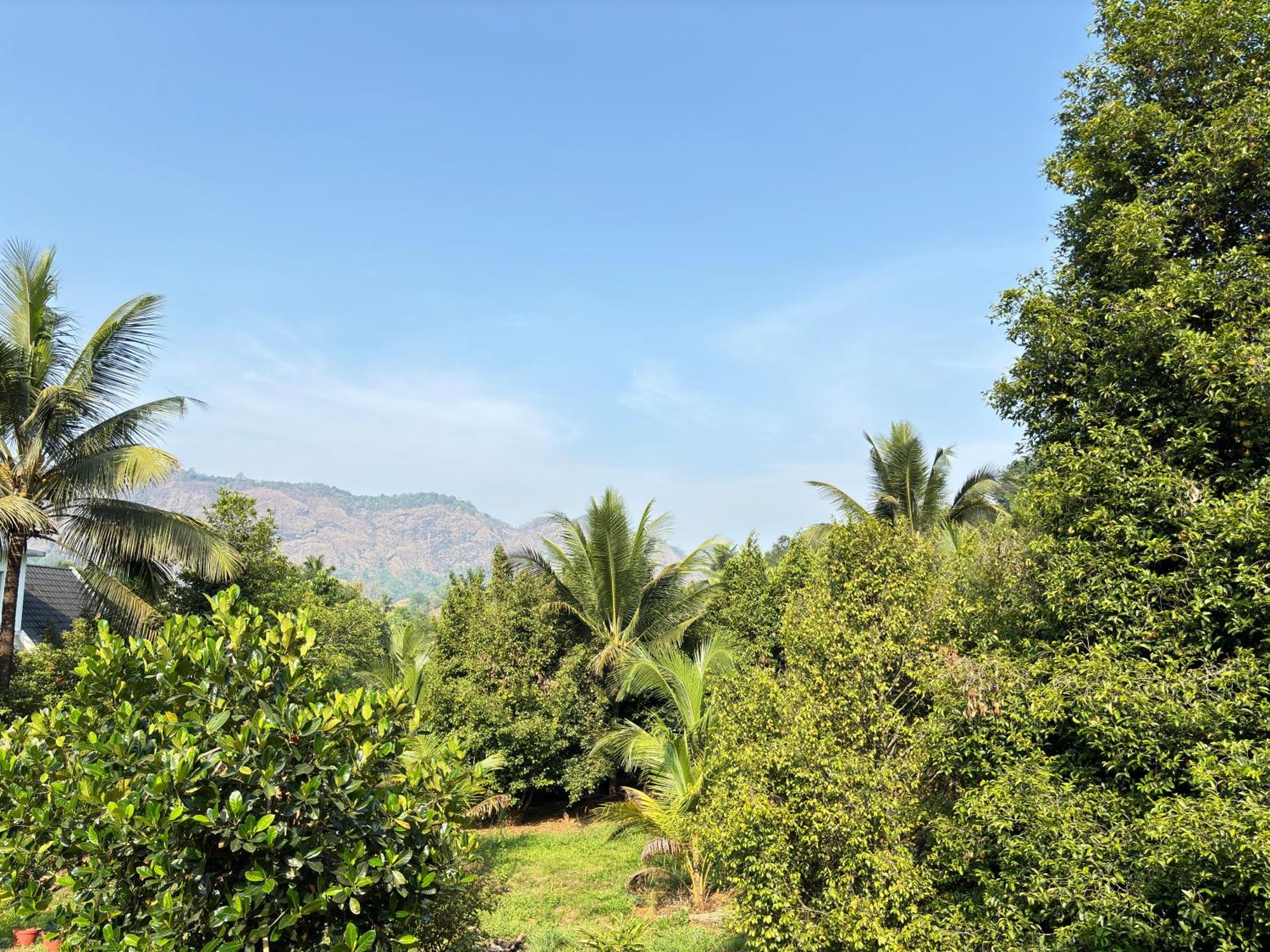 Calm Shack - 2 Bedroom-Boutique Farm Stay Munnar Dış mekan fotoğraf