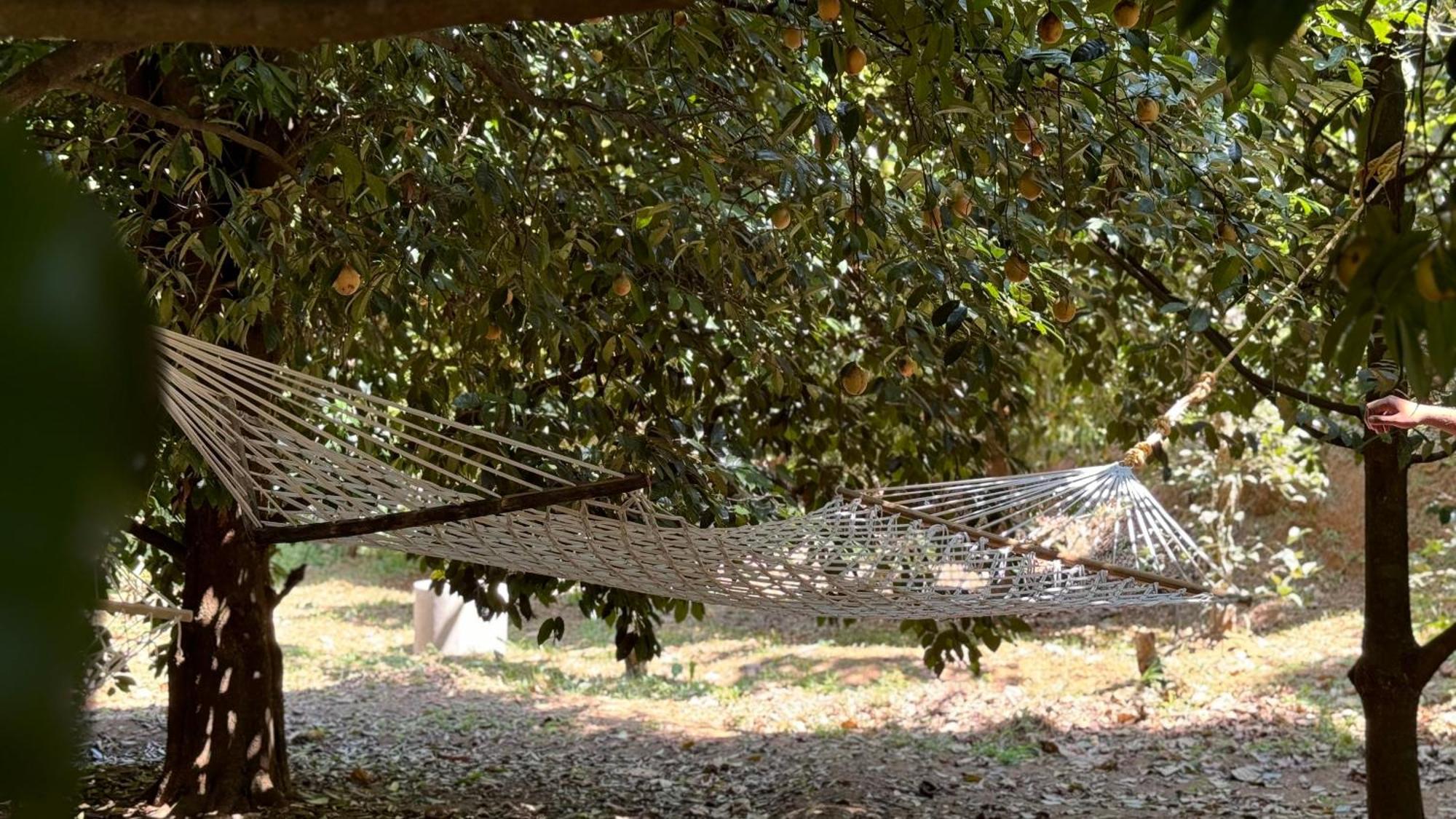 Calm Shack - 2 Bedroom-Boutique Farm Stay Munnar Dış mekan fotoğraf